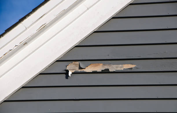 Affordable siding repair and maintenance services in La Plata, MD